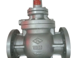 STEAM PRESSURE REDUCING VALVE