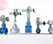 NHÀ NHẬP KHẨU THƯƠNG HIỆU ELECTRIC FLOWINN VIỆT NAM