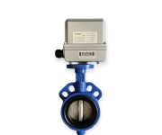 VAN BƯỚM ĐIỆN PCCC 