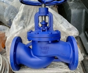 Vì sao lên chọn van cầu hơi  gang GG25 chuẩn DIN PN16