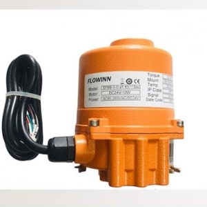 Bộ điểu khiển bằng điện Flowinn EFMB-3-O-sY-K5