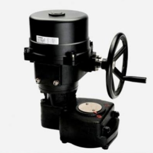 ĐỘNG CƠ ĐIỆN FLOWINN EOM 10 - 12