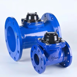 Đồng hồ đo lưu lượng nước sạch NWM-50 