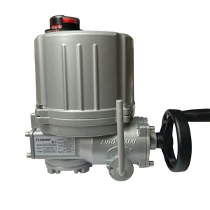 BỘ ĐIỀU KHIỂN ĐIỆN EOH10 FLOWINN TAY QUAY