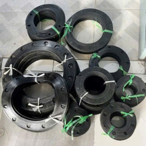 GIOĂNG CAO SU EPDM MẶT BÍCH PN16