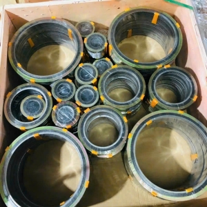 GIOĂNG CHÌ MẶT BÍCH PN16