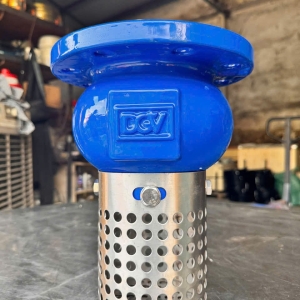 RỌ BƠM DGV 1111