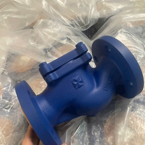 VAN 1 CHIỀU HƠI GANG JOEUN MẶT BÍCH PN16