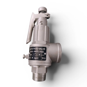 VAN AN TOÀN 10KG  REN INOX 304 DN20