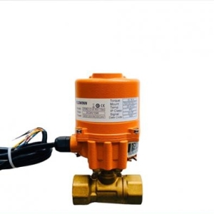 Van bi đồng điều khiển điện