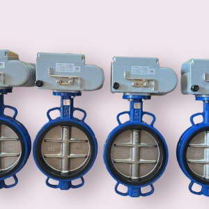 VAN BƯỚM ĐIỆN EOT10-O-DS-K2