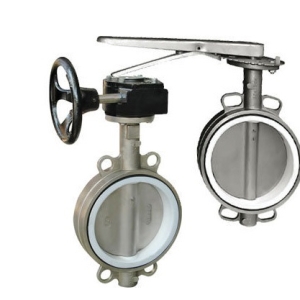 VAN BƯỚM INOX 304 PTEF TAY QUAY ERAV