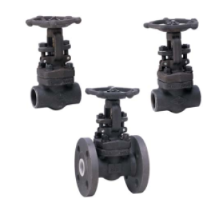 VAN CỔNG THÉP A105 MẶT BÍCH