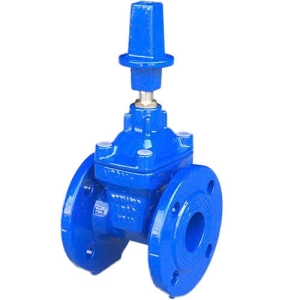 VAN CỬA TY CHÌM NẮP CHỤP MẶT BÍCH BAODING