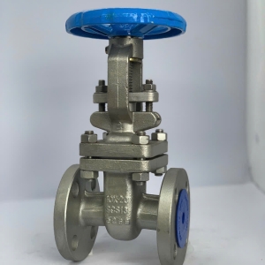 VAN CỔNG INOX 304 MẶT BÍCH 10K AFBV