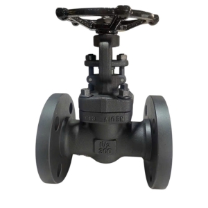 VAN CẦU HƠI THÉP REN A 105 FBV MẶT BÍCH