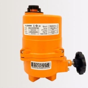 VAN FLOWINN EFM1 / A / B- (H)