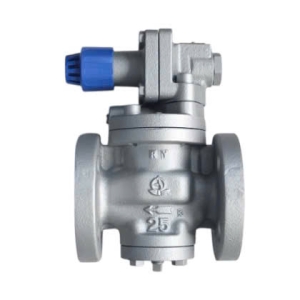 VAN GIẢM ÁP HƠI RP-6 VENN MẶT BÍCH 10K