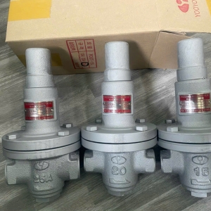 VAN GIẢM ÁP HƠI NỐI REN RDST-1S