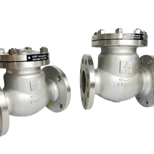 VAN 1 CHIỀU LÁ LẬT INOX 304 MẶT BÍCH H44W-10K ERAV