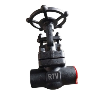 VAN THÉP RÈN A 105 HÀN LỒNG RTV