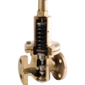 VAN GIẢM ÁP YNV DRE-1F MẶT BÍCH