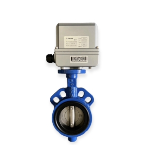 VAN BƯỚM ĐIỆN FLOWINN EOT05F