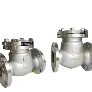 VAN 1 CHIỀU LÁ LẬT INOX 304 MẶT BÍCH JIS 10K DN15