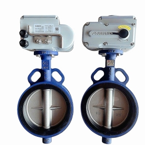 VAN BƯỚM ĐIỆN EOT20-O-DS-K2-FLOWINN