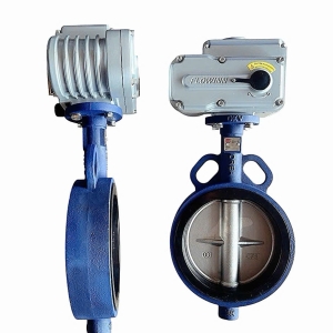 VAN BƯỚM ĐIỆN EOT60-O-DS-K2 FLOWINN